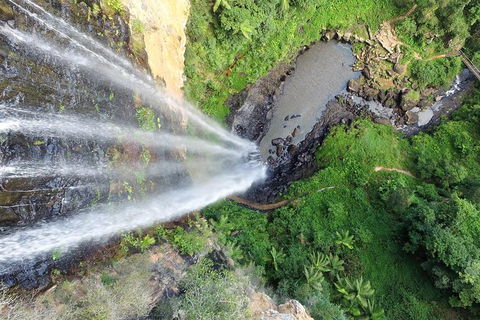 World Heritage Springbrook National Park Tour Including Natural Bridge - Attractions Melbourne 6