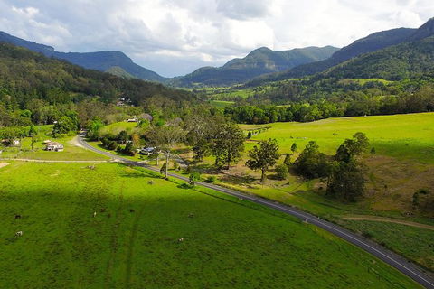 World Heritage Springbrook National Park Tour Including Natural Bridge - Attractions Melbourne 4