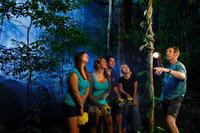 Daintree Rainforest Night Walk from Cape Tribulation