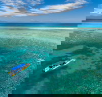 Ocean Safari Great Barrier Reef Experience in Cape Tribulation - Attractions Melbourne