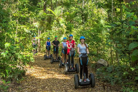 Whitsunday Segway Rainforest Discovery Tour - Attractions Melbourne 2