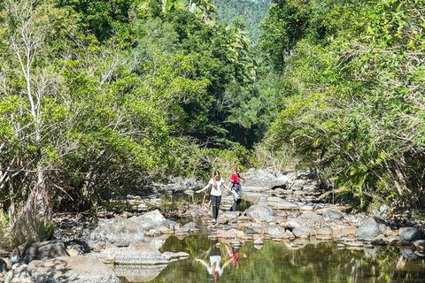 Whitsunday Segway Rainforest Discovery Tour - Attractions Melbourne 10