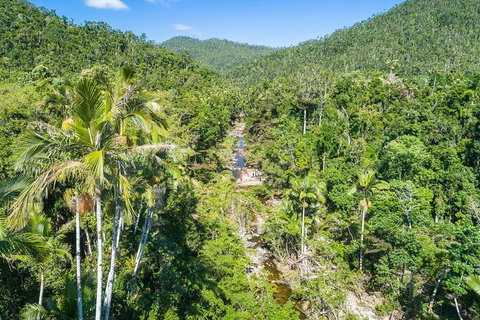 Whitsunday Segway Rainforest Discovery Tour - Attractions Melbourne 5