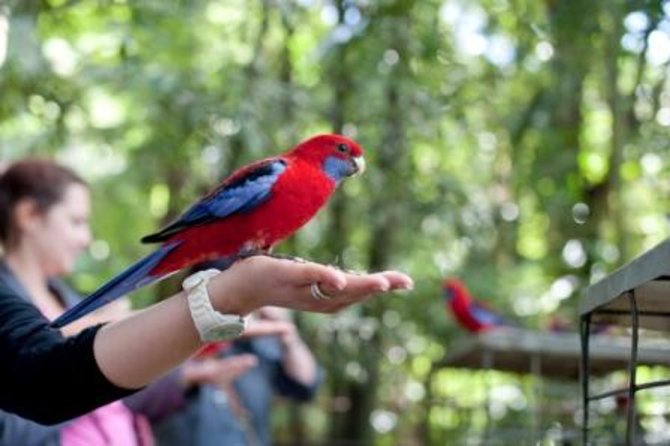  Attractions Melbourne