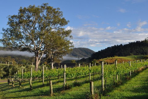 Full Day Mount Tamborine Winery Tour From Gold Coast - Attractions Melbourne 15