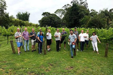 Full Day Mount Tamborine Winery Tour From Gold Coast - Attractions Melbourne 7