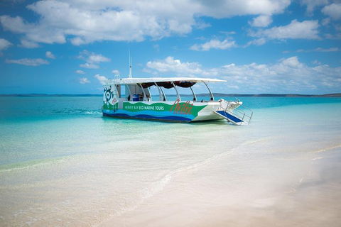 Great Sandy Marine Park Turtle Discovery And Cultural Eco Tour - Attractions Melbourne 5