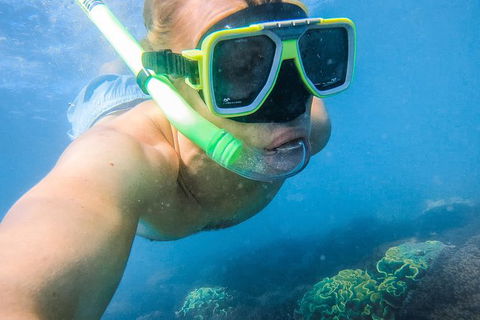 Great Sandy Marine Park Turtle Discovery And Cultural Eco Tour - Attractions Melbourne 2