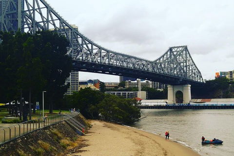 Brisbane River Guided Evening Tour By Kayak - Our Most Popular Tour - Attractions Melbourne 6