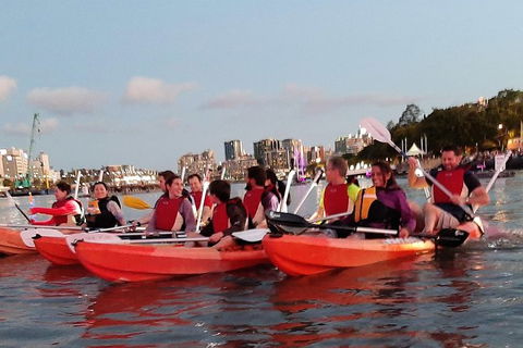 Brisbane River Guided Evening Tour By Kayak - Our Most Popular Tour - Attractions Melbourne 4