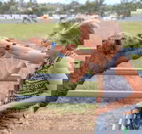 Camel Farm Deluxe Experience - Attractions Melbourne