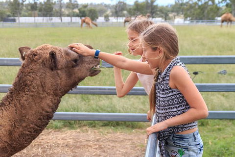 Camel Farm Deluxe Experience - Attractions Melbourne 0