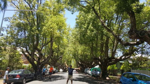 Brisbane Bike Tour - Attractions Melbourne 2