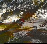 Brisbane Bike Tour - Attractions Melbourne
