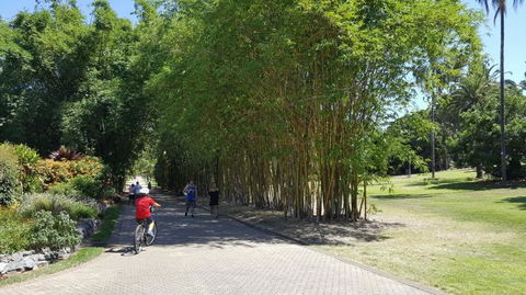 Brisbane Bike Tour - Attractions Melbourne 4