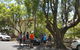 Brisbane Bike Tour - thumb 3