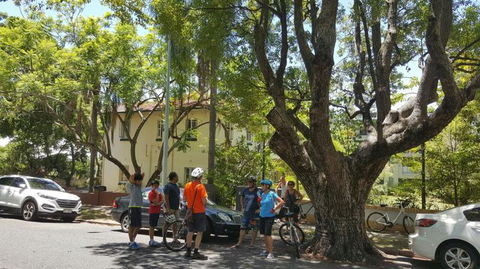 Brisbane Bike Tour - Attractions Melbourne 3