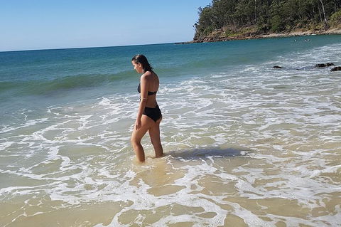 Noosa And Sunshine Coast Hinterland Day Trip From Brisbane - Attractions Melbourne 7