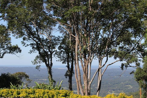 Noosa And Sunshine Coast Hinterland Day Trip From Brisbane - Attractions Melbourne 10