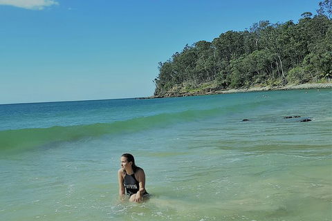 Noosa And Sunshine Coast Hinterland Day Trip From Brisbane - Attractions Melbourne 4