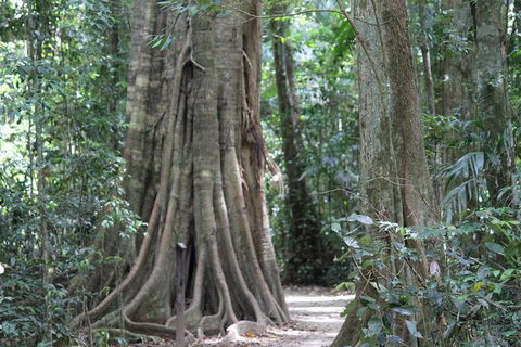 Noosa And Sunshine Coast Hinterland Day Trip From Brisbane - Attractions Melbourne 8