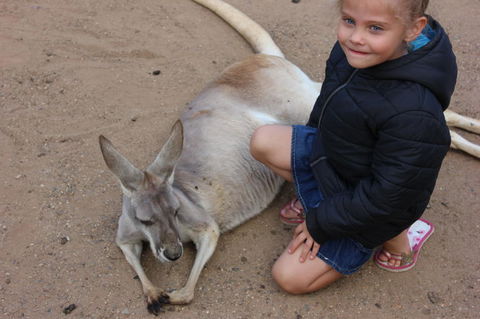Gold Coast Attraction Pass Including Currumbin Wildlife Sanctuary And Paradise Jetboating - Attractions Melbourne 3