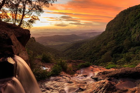 O\'Reilly\'s & Lamington National Park Incl. Alpaca Farm + Vineyard - Attractions Melbourne 6