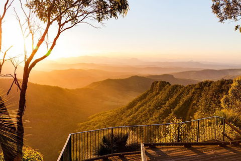 O\'Reilly\'s & Lamington National Park Incl. Alpaca Farm + Vineyard - Attractions Melbourne 3