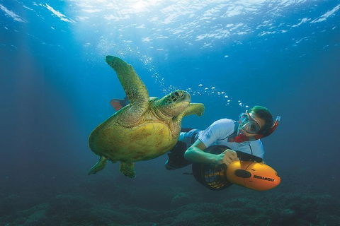 Moreton Island Day Trip From Brisbane - Attractions Melbourne 1