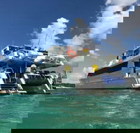 Eco Marine Safari - Boom netting  Snorkeling Moreton Island - Fortitude Valley - Attractions Melbourne