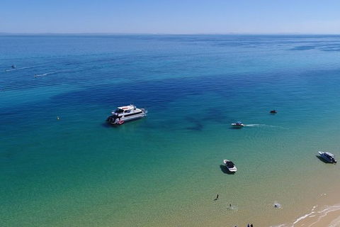 Eco Marine Safari - Boom Netting & Snorkeling Moreton Island - Fortitude Valley - Attractions Melbourne 9