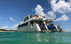 Eco Marine Safari - Boom Netting & Snorkeling Moreton Island - Fortitude Valley - thumb 2