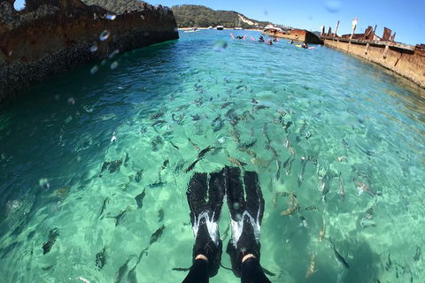 Eco Marine Safari - Boom Netting & Snorkeling Moreton Island - Fortitude Valley - Attractions Melbourne 6