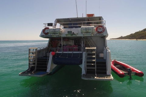 Eco Marine Safari - Boom Netting & Snorkeling Moreton Island - Fortitude Valley - Attractions Melbourne 13