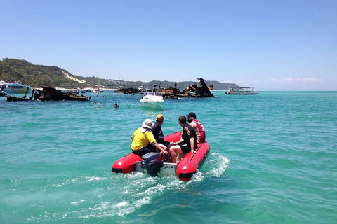 Eco Marine Safari - Boom Netting & Snorkeling Moreton Island - Fortitude Valley - Attractions Melbourne 3
