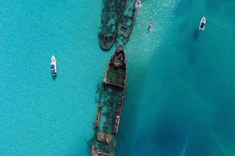 Eco Marine Safari - Boom Netting & Snorkeling Moreton Island - Fortitude Valley - Attractions Melbourne 8