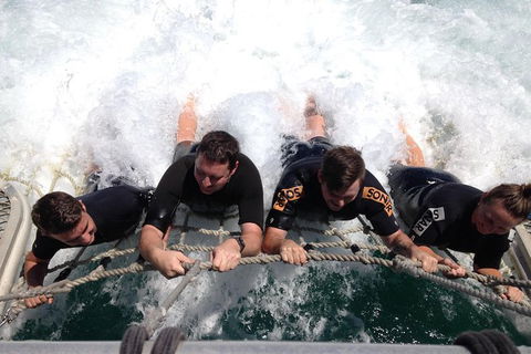 Eco Marine Safari - Boom Netting & Snorkeling Moreton Island - Fortitude Valley - Attractions Melbourne 10