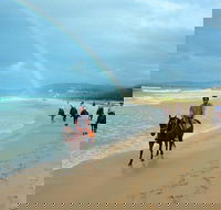 Rainbow Beach Horse Ride - Attractions Melbourne