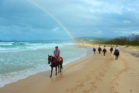 Rainbow Beach Horse Ride - Attractions Melbourne 1
