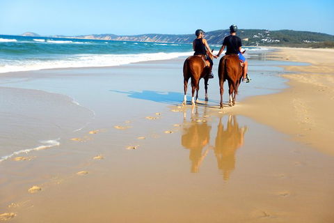 Rainbow Beach Horse Ride - Attractions Melbourne 3