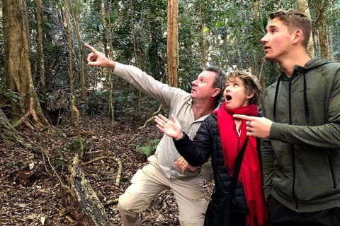 Small-Group 4WD Lamington National Park Day Trip From Brisbane - Attractions Melbourne 8