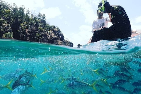 2 Night Small Group Whitsundays Sailing Adventure Aboard Mandrake - Attractions Melbourne 2