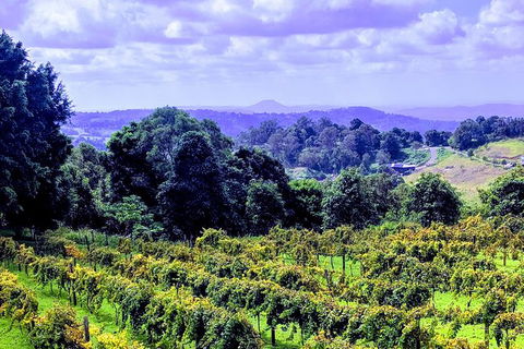 Queensland Food Tour: Farm-to-Table Indulgence - Attractions Melbourne 6
