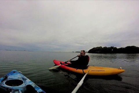 Brisbane Guided Kayaking Tour On Tingalpa Creek - Attractions Melbourne 5