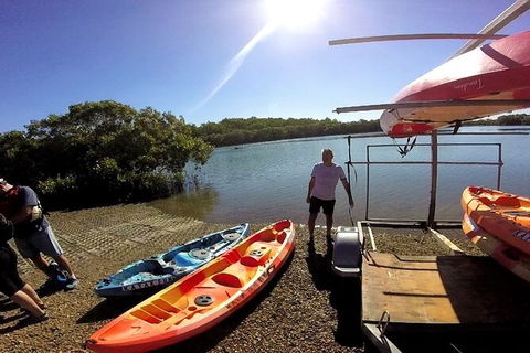 Brisbane Guided Kayaking Tour On Tingalpa Creek - Attractions Melbourne 6