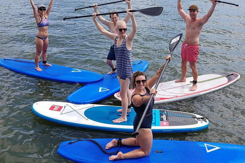 Noosa Stand Up Paddle Group Lesson - Attractions Melbourne 1