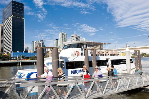 Brisbane Highlights And Lone Pine Cruise From Gold Coast - Attractions Melbourne 13