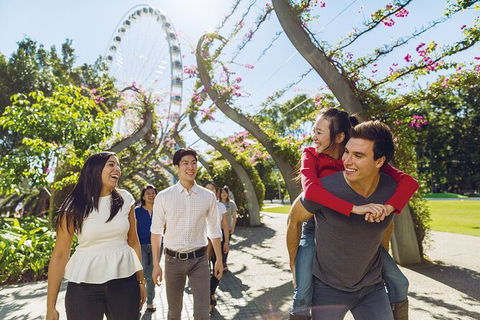Brisbane Highlights And Lone Pine Cruise From Gold Coast - Attractions Melbourne 12