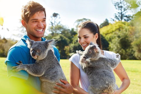 Brisbane Highlights And Lone Pine Cruise From Gold Coast - Attractions Melbourne 2