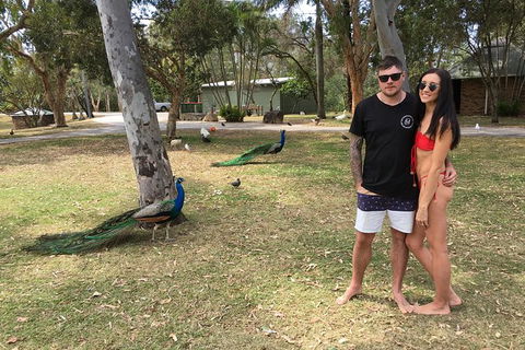 Surfers Paradise Stand Up Paddle Tour - Attractions Melbourne 5